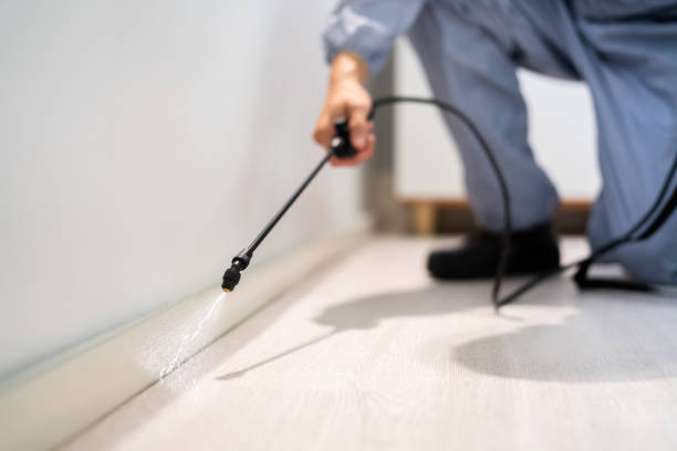 Bed Bug Pre-Treatment Preparation Assessment in Hildebran