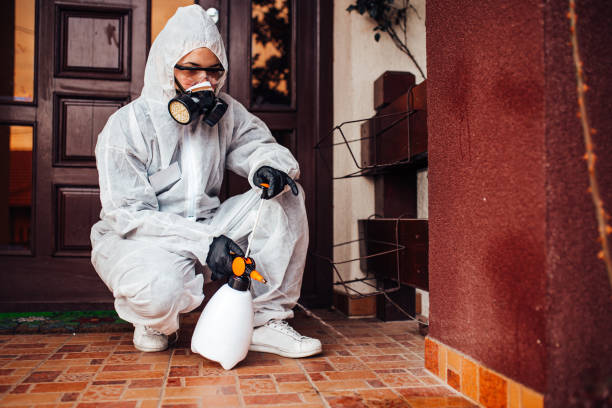 Multi-Unit and Airbnb Bed Bug Protocol in Hildebran