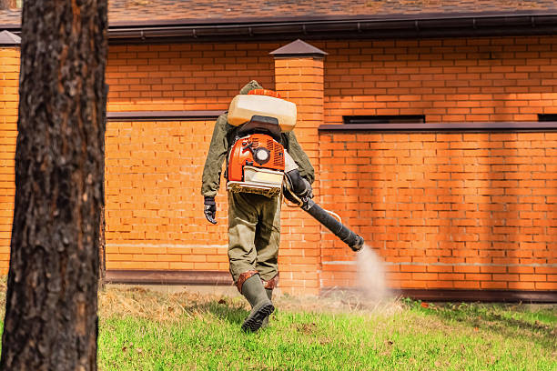 Bed Bug Clearance Verification and Documentation in Hildebran